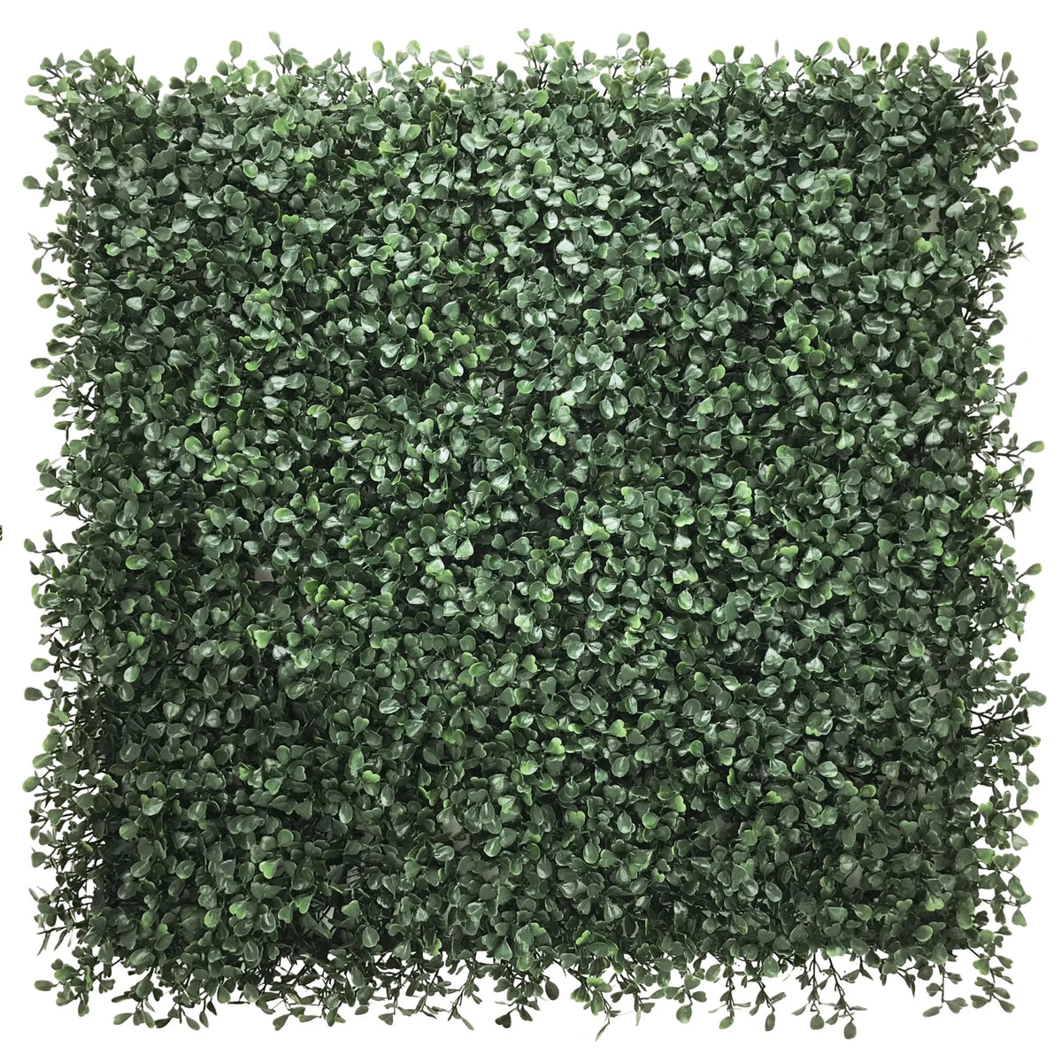 Grüne Pflanzenmatte LEAFLUXE 1 mit dichten, kleinen Blättern in quadratischer Form von hjh LIVING